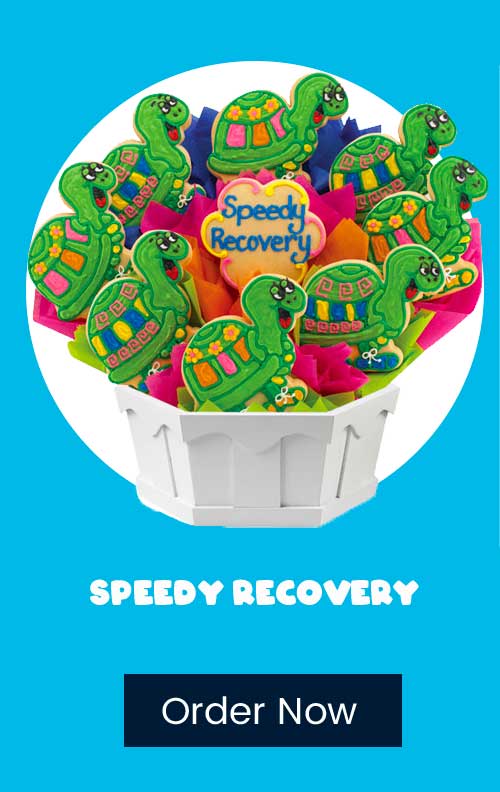 SPeedy Recovery