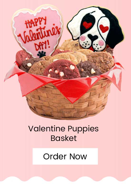 Valentine Puppies