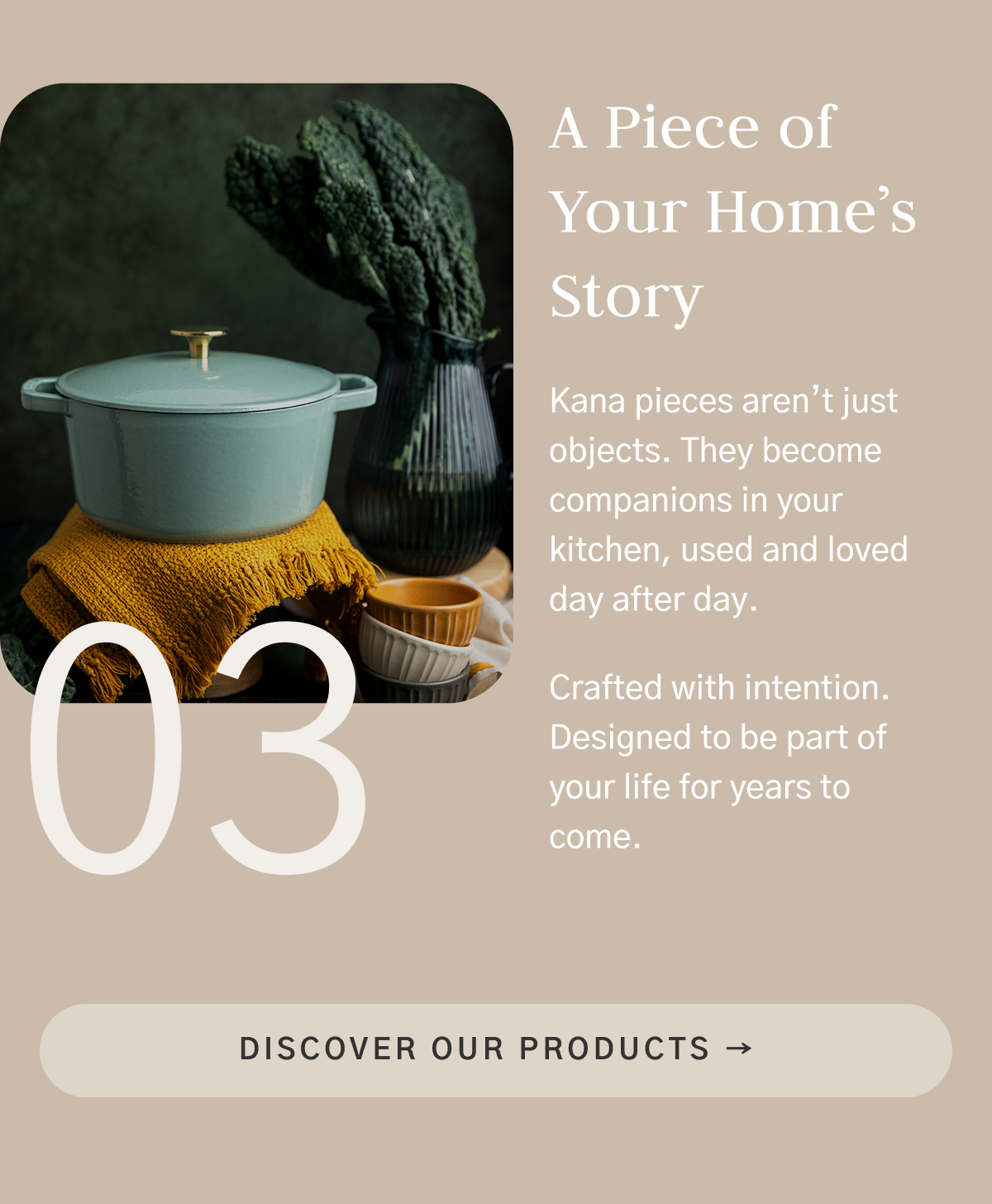 Discover our products