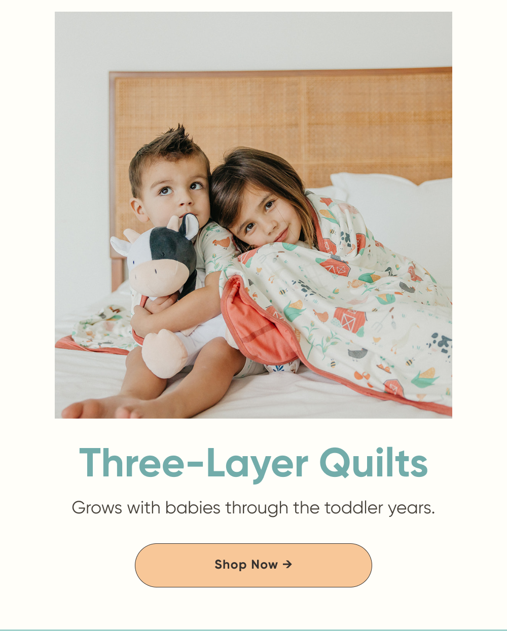 Copper Pearl |  Shop Three-Layer Quilts