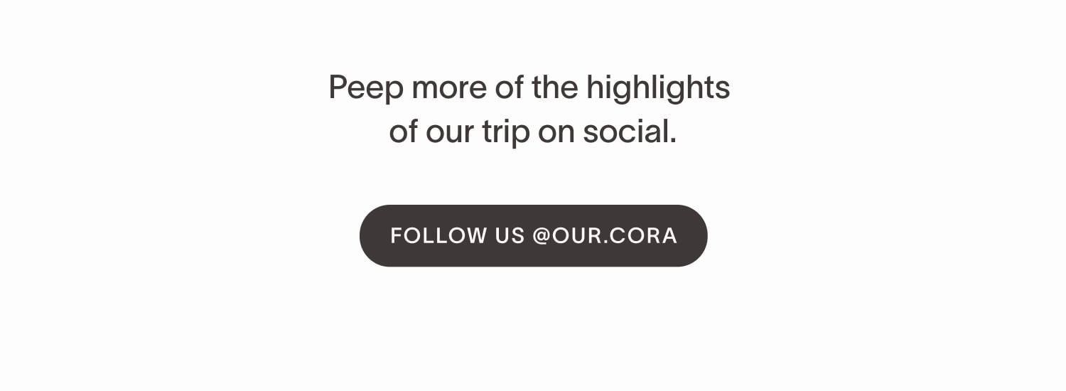 Follow us