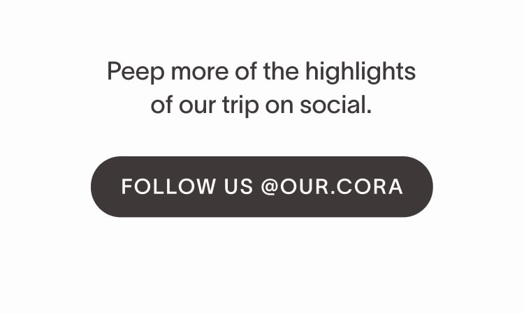Follow us