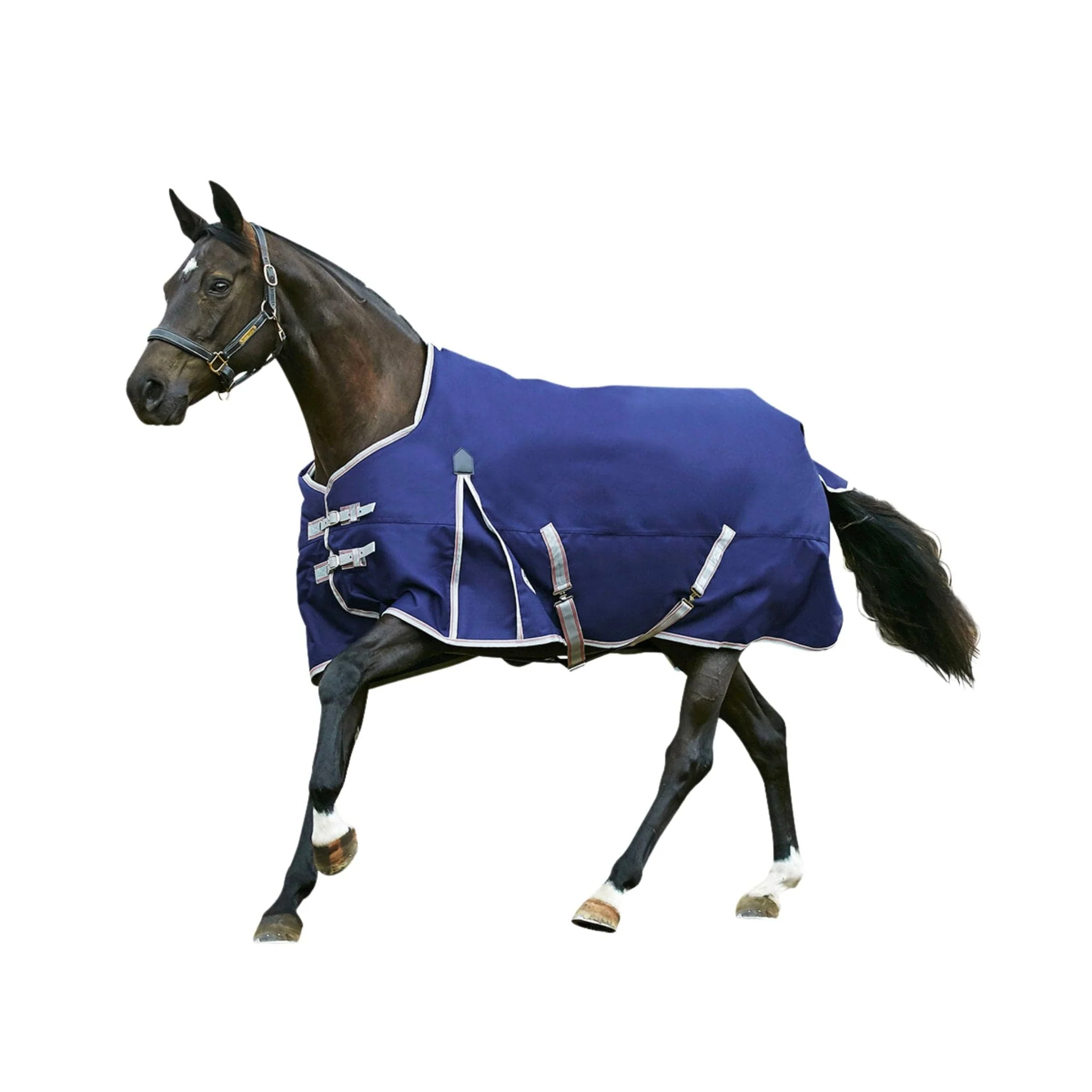 Image of WeatherBeeta Comfitec Essential Standard Neck Lite Turnout Sheet