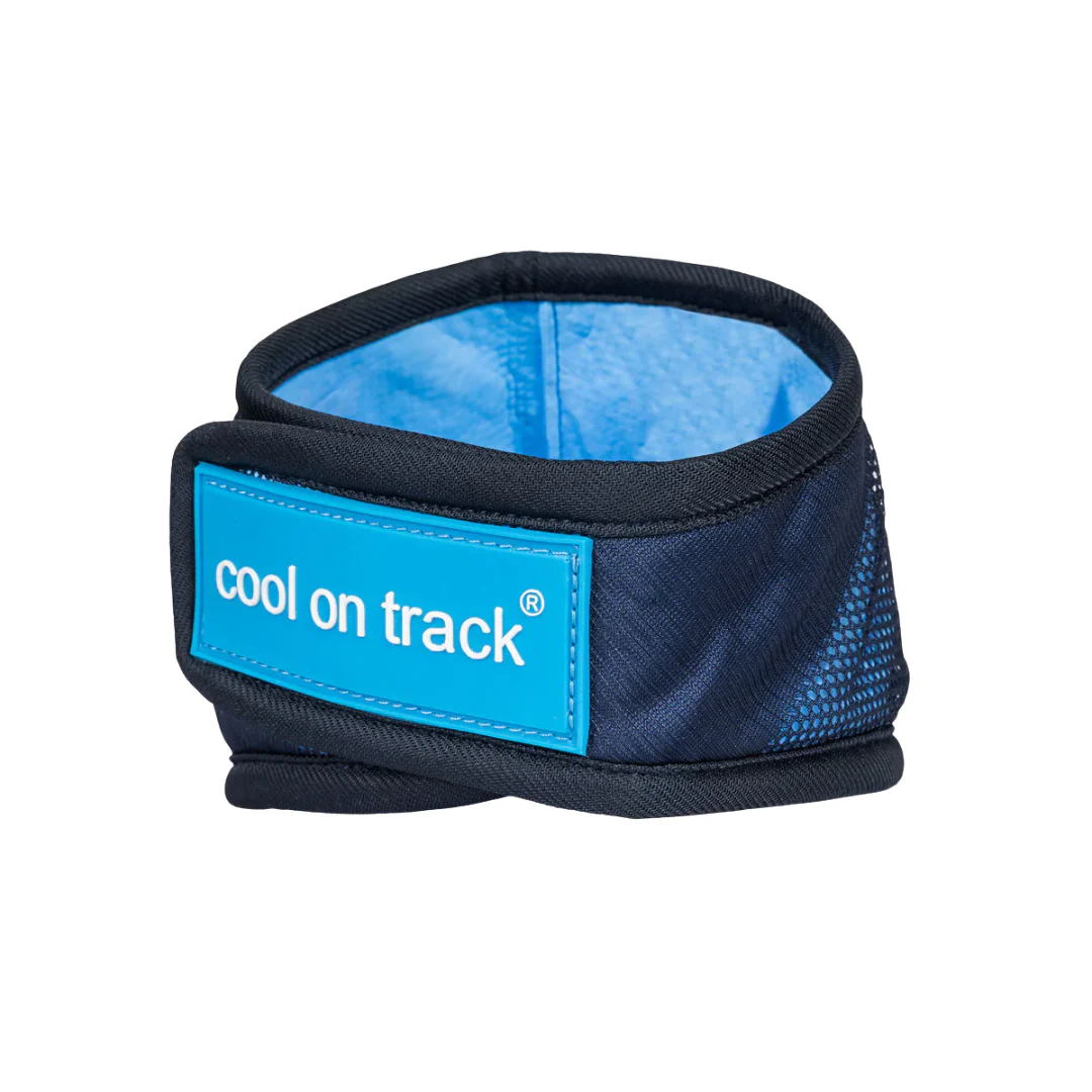 Image of Cool on Track Dog Bandana