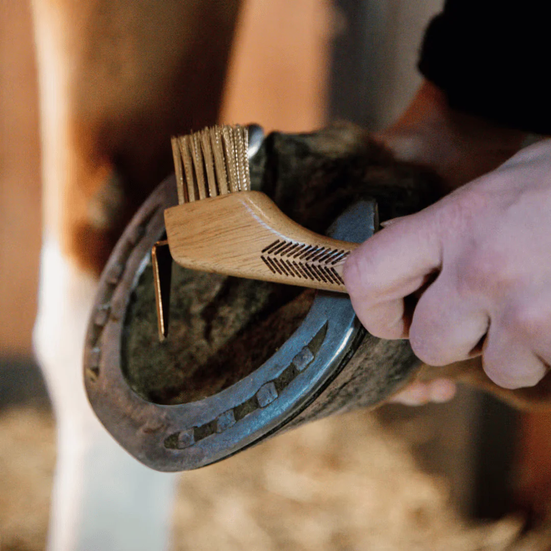 Image of Grooming Deluxe Hoof Pick with Metal Bristle