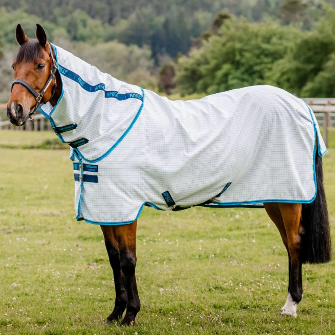 Image of Amigo Aussie All-Rounder