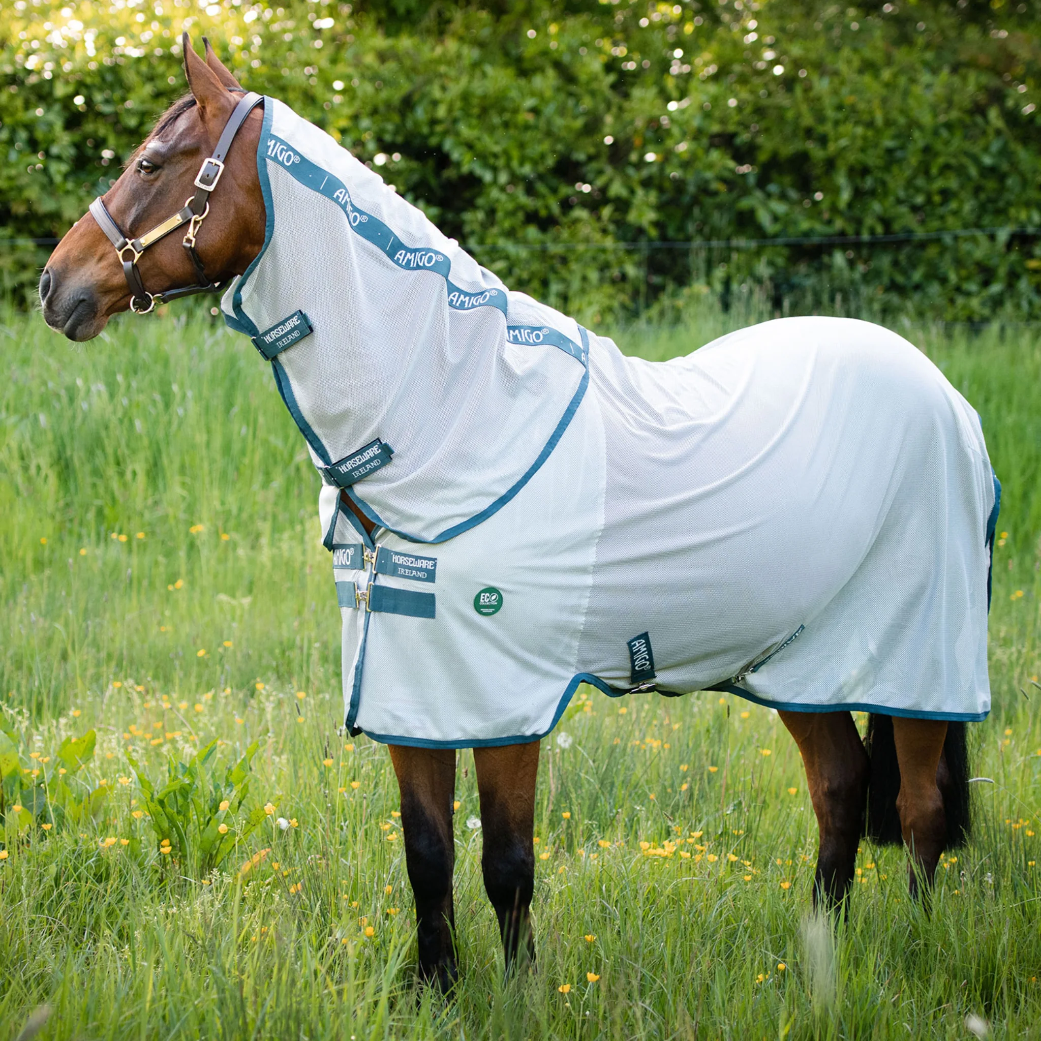 Image of Amigo AmECO Bug Rug Fly Sheet
