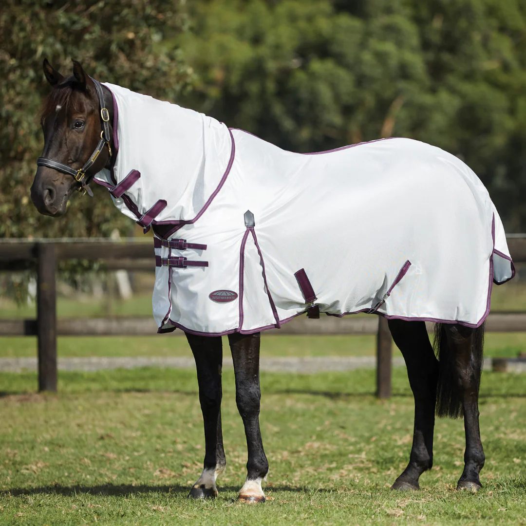 Image of WeatherBeeta Comfitec Essential Mesh II Combo Neck Fly Sheet