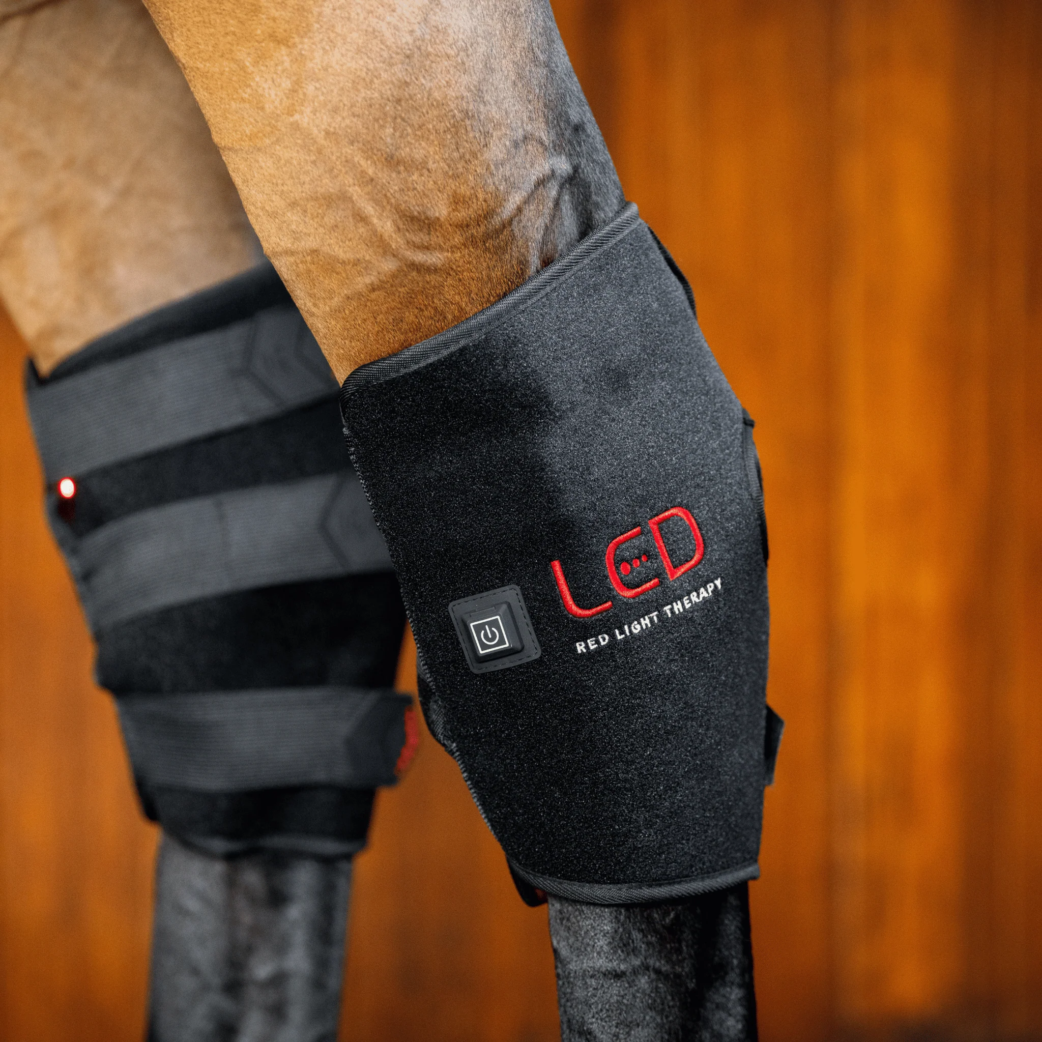 Image of LED Red Light Hock Boot