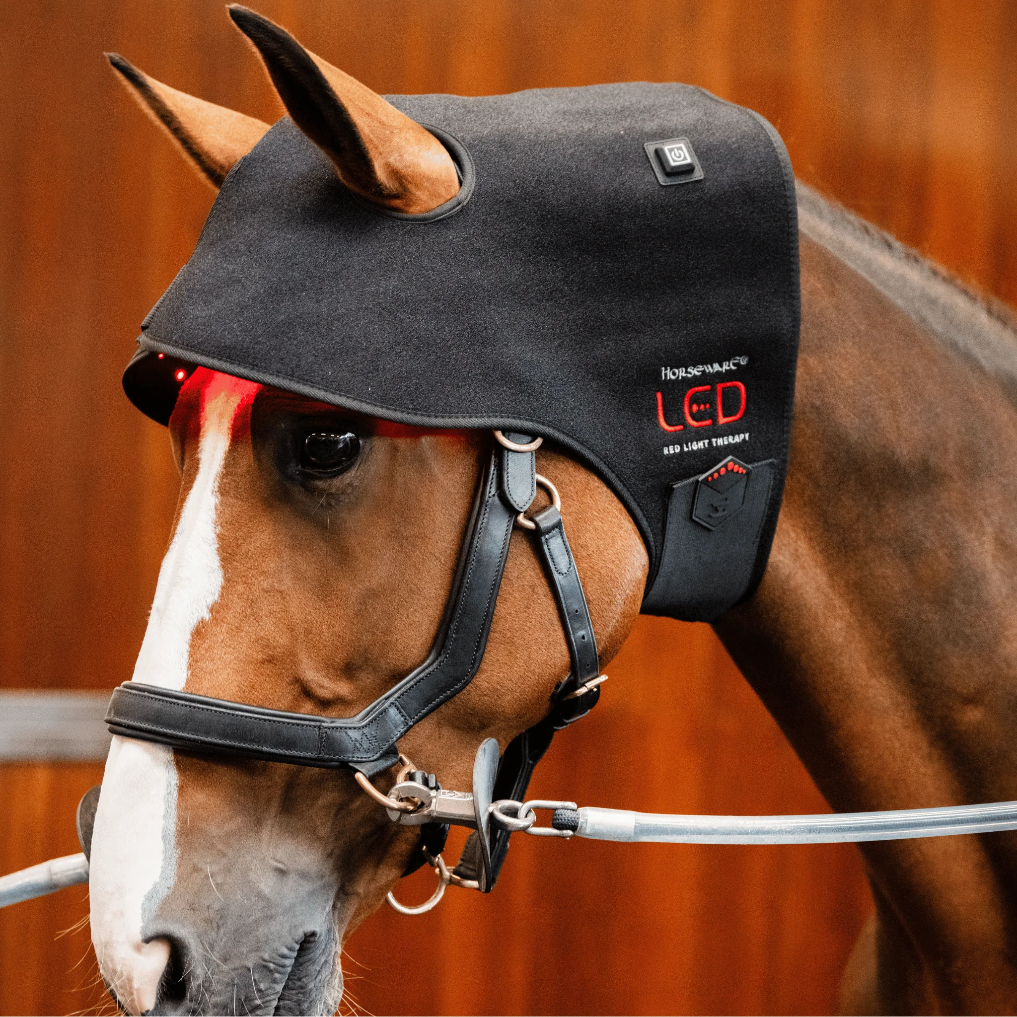 Image of LED Red Light Poll Cap