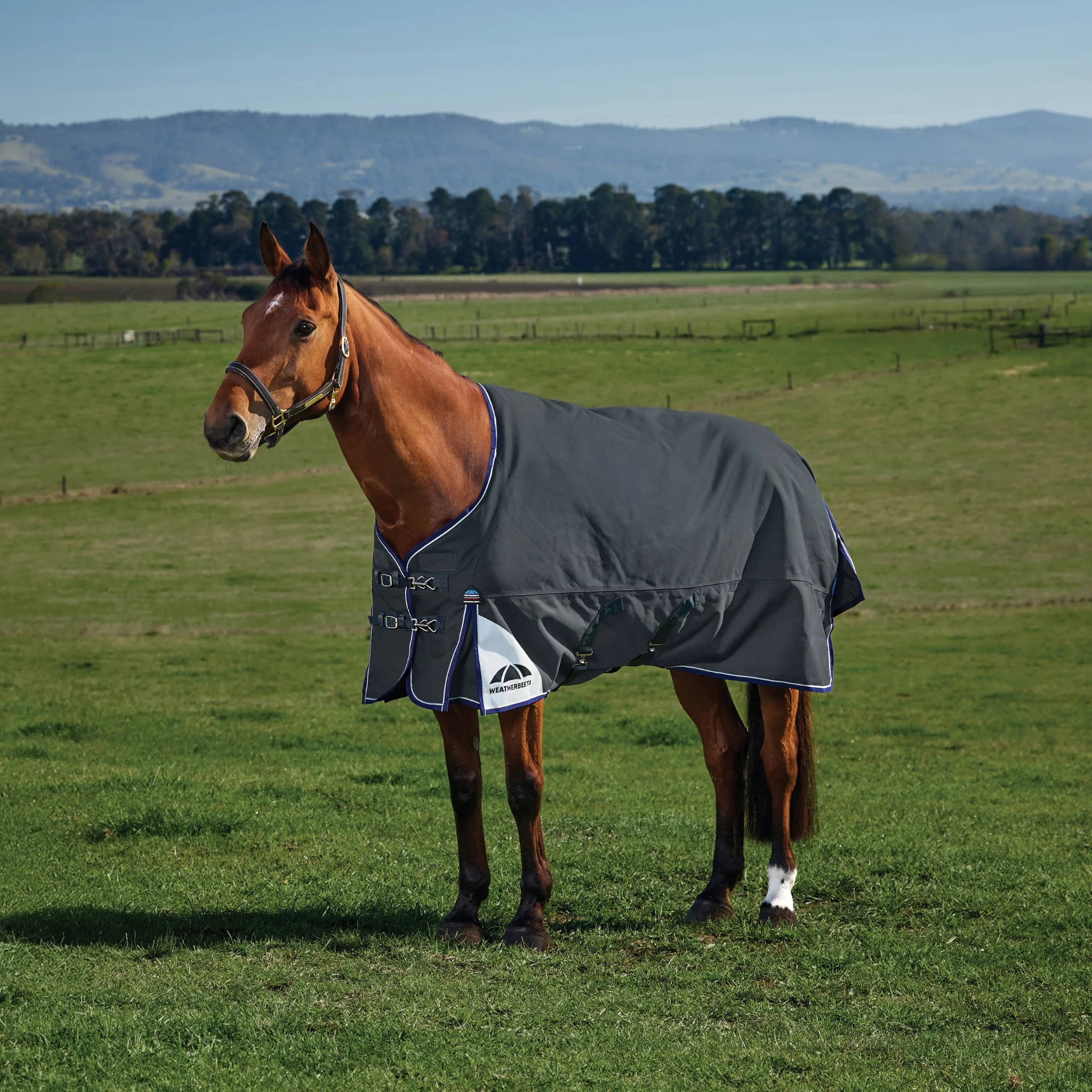Image of WeatherBeeta ComFiTec Ultra Turnout Standard Neck 220G