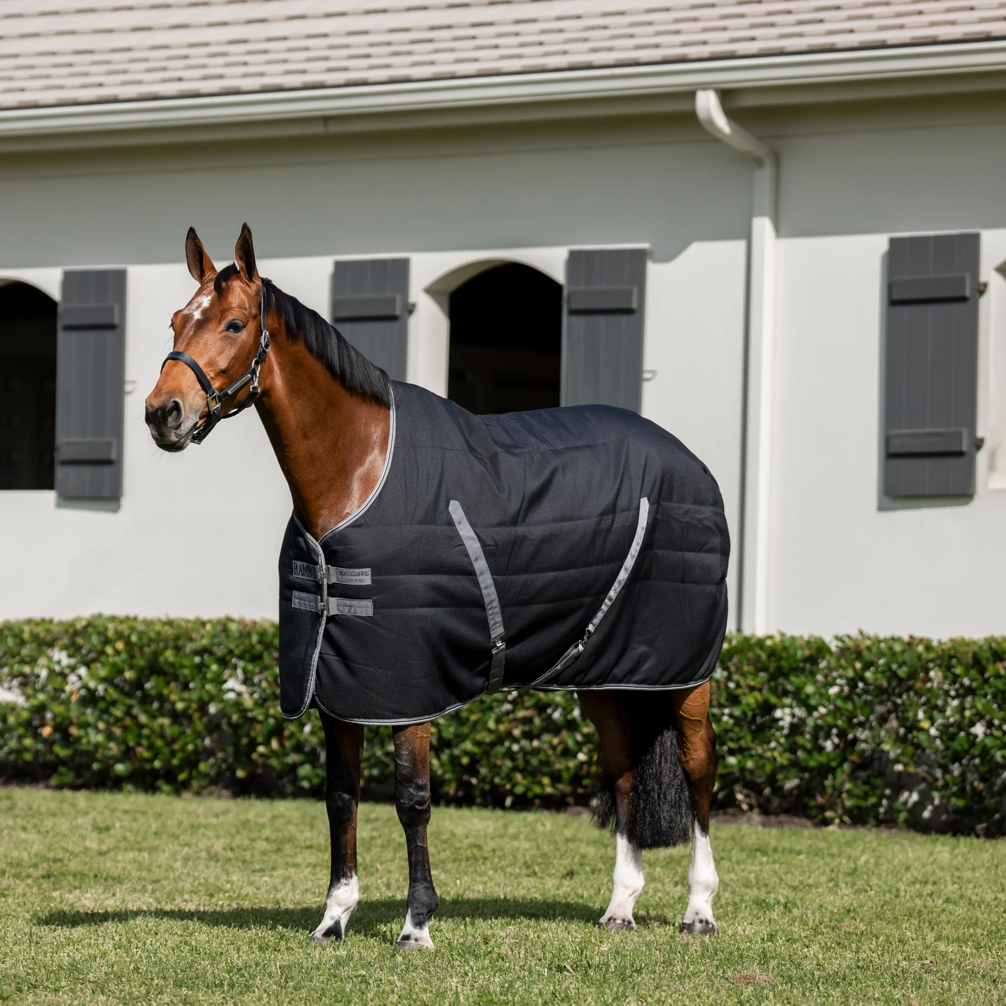 Image of Rambo Stable Blanket (200g Medium) - Embossed Lining