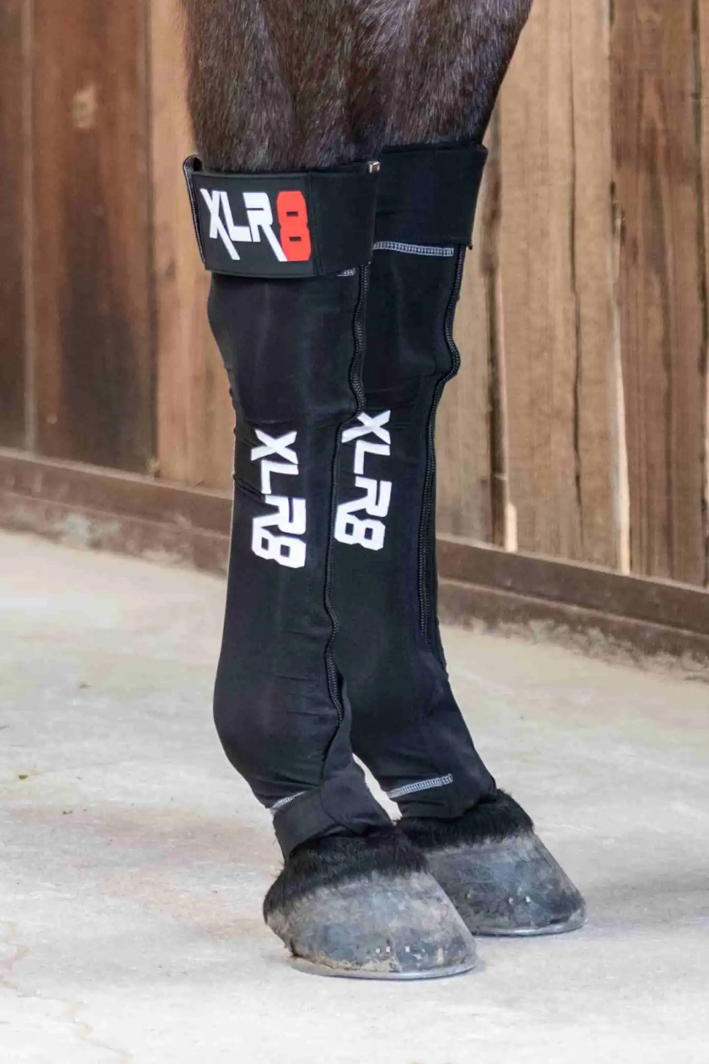 Image of XLR8 Equine G-Force Compression Boot