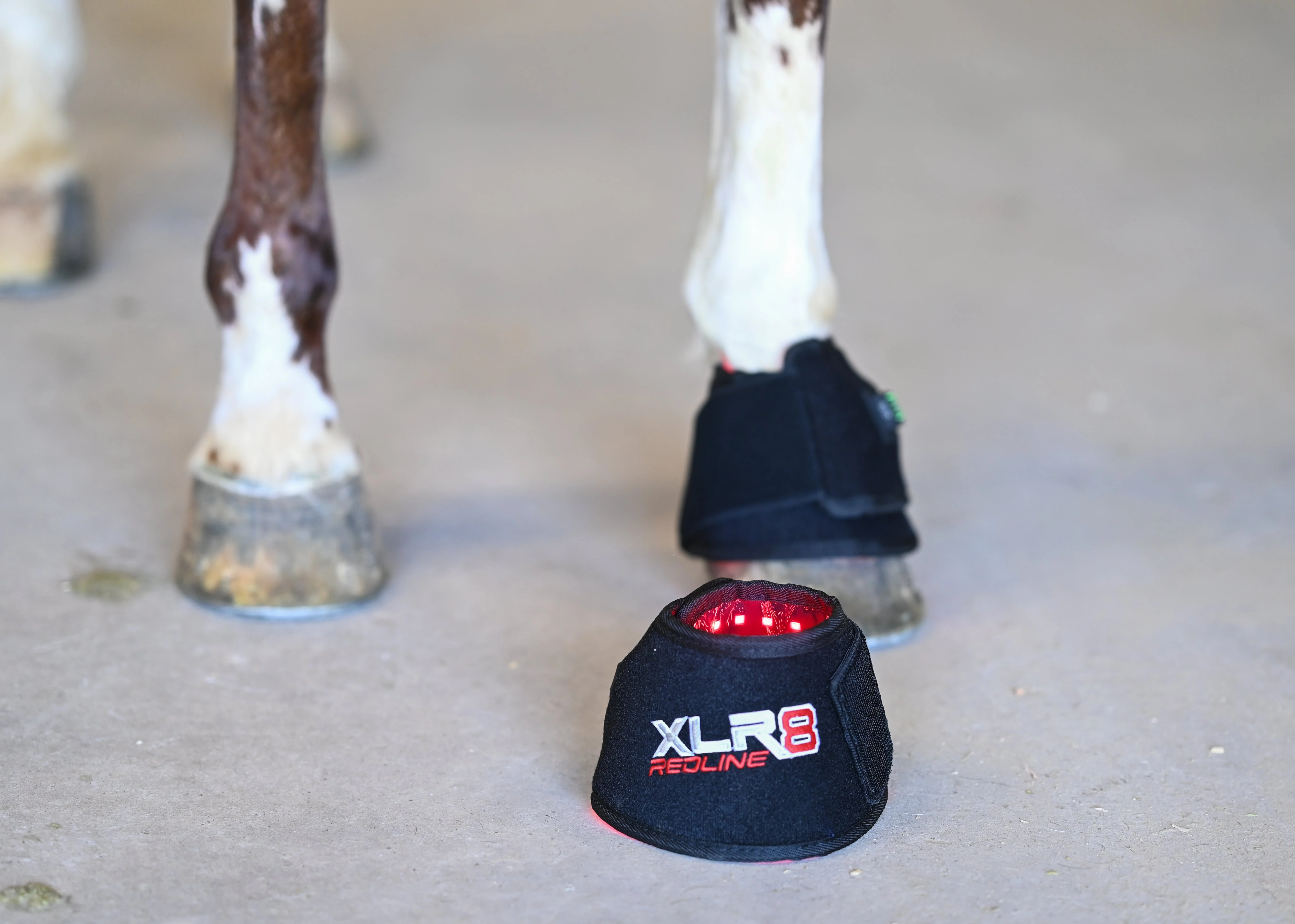 Image of XLR8 Equine Redline Bell Boot - Single