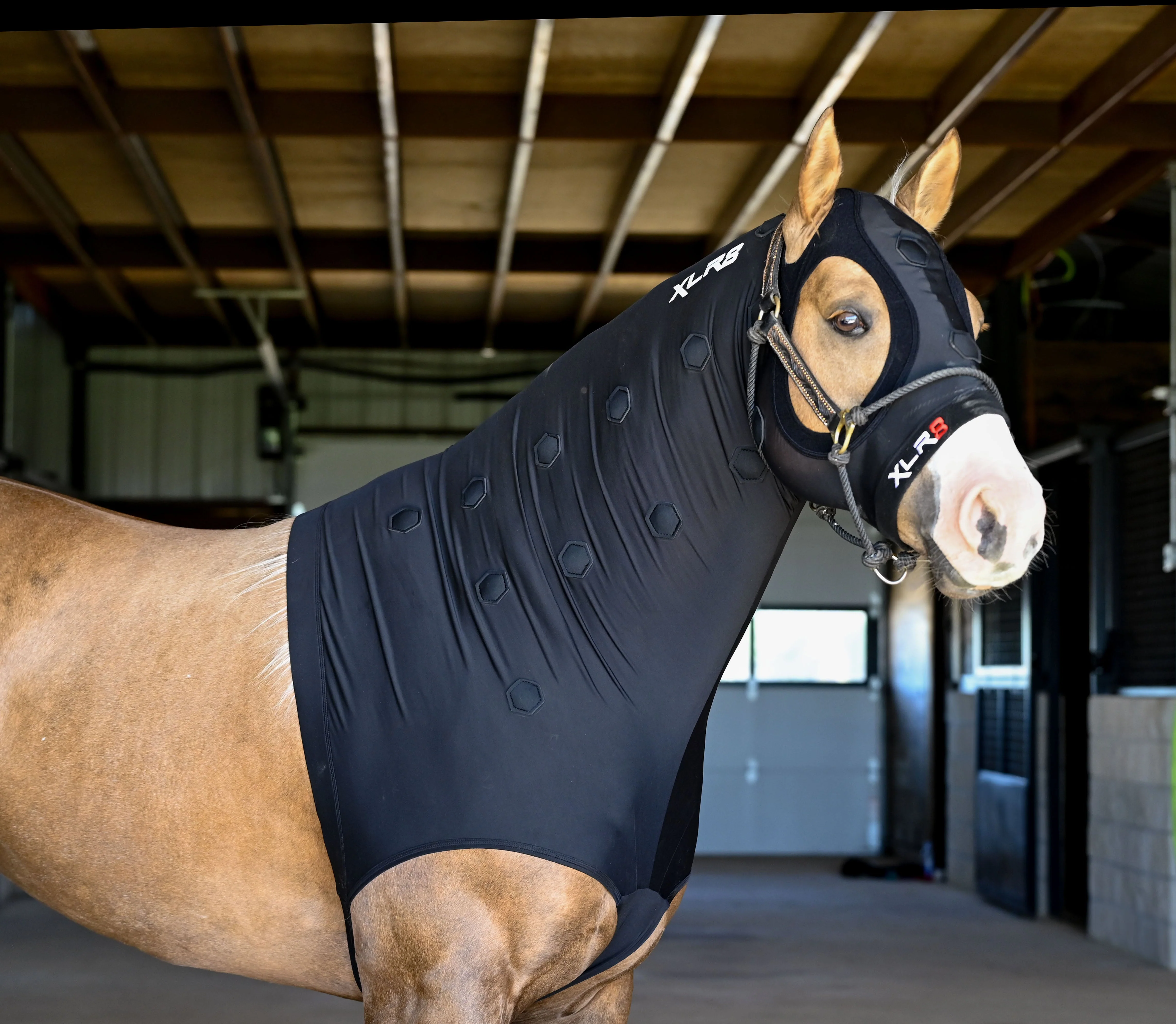 Image of XLR8 Equine Velocity Hood