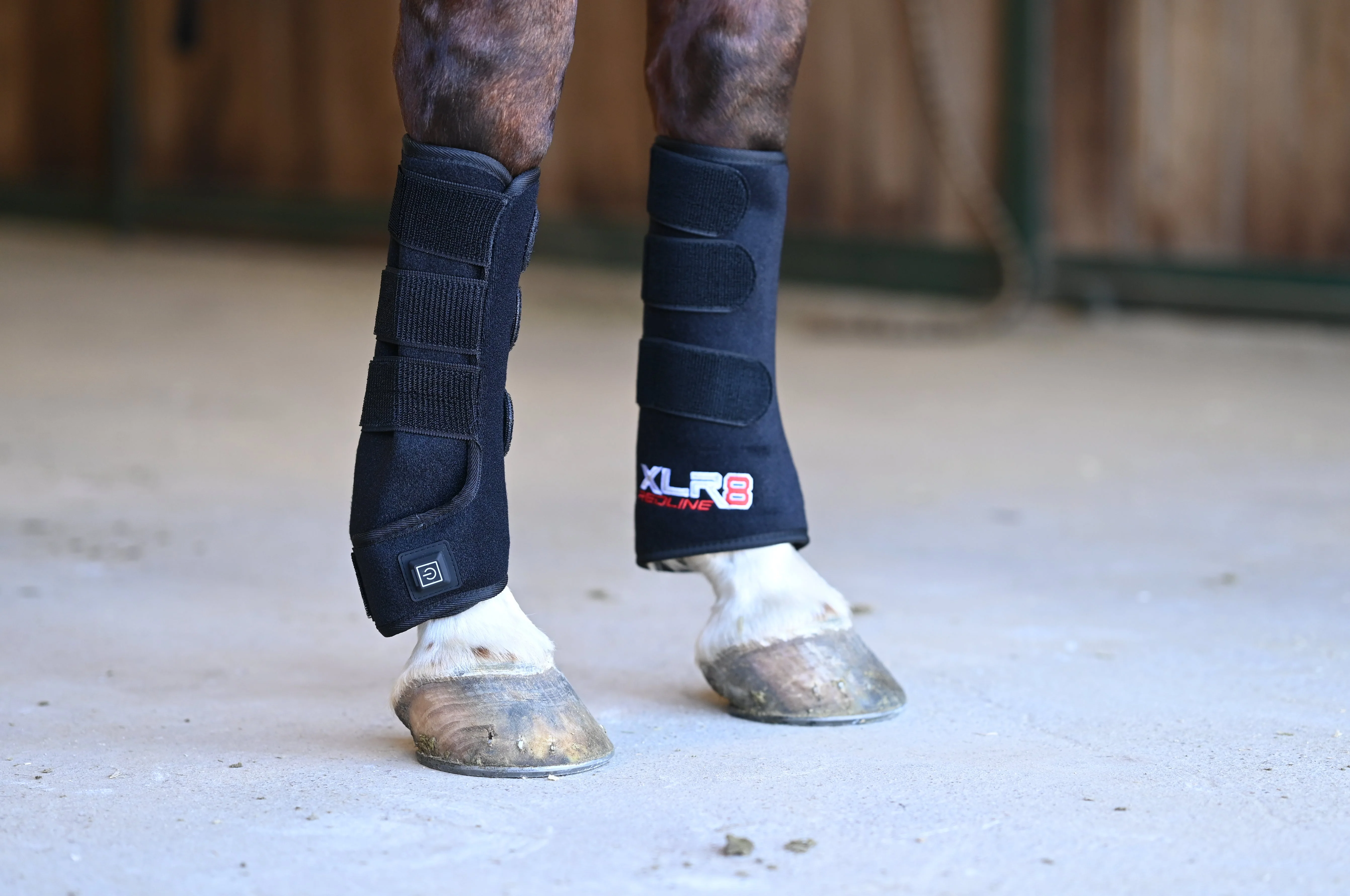 Image of XLR8 Equine Redline Tendon Wrap - Pair