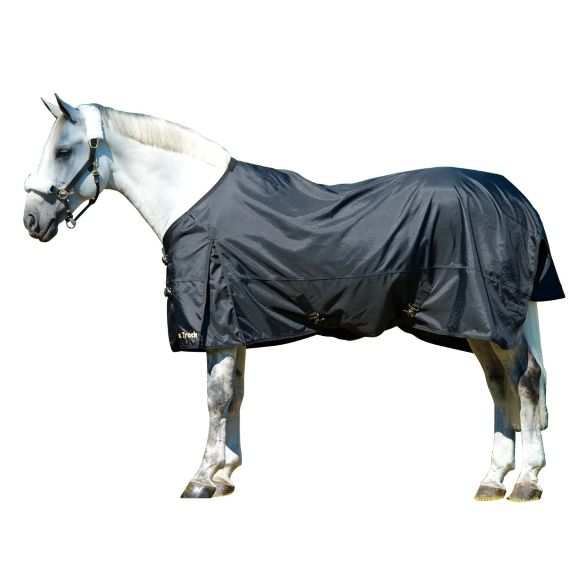 Image of Back on Track Therapeutic Turnout Sheet