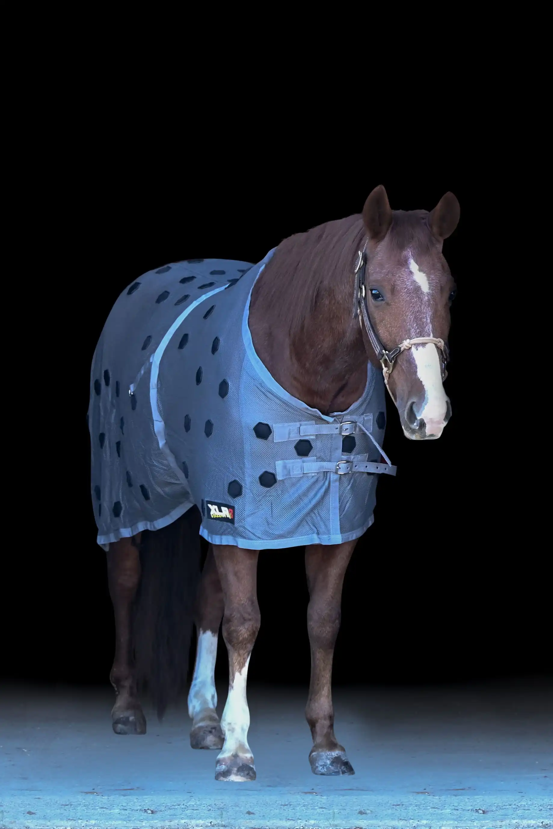 Image of XLR8 Equine Velocity Sheet - Gray