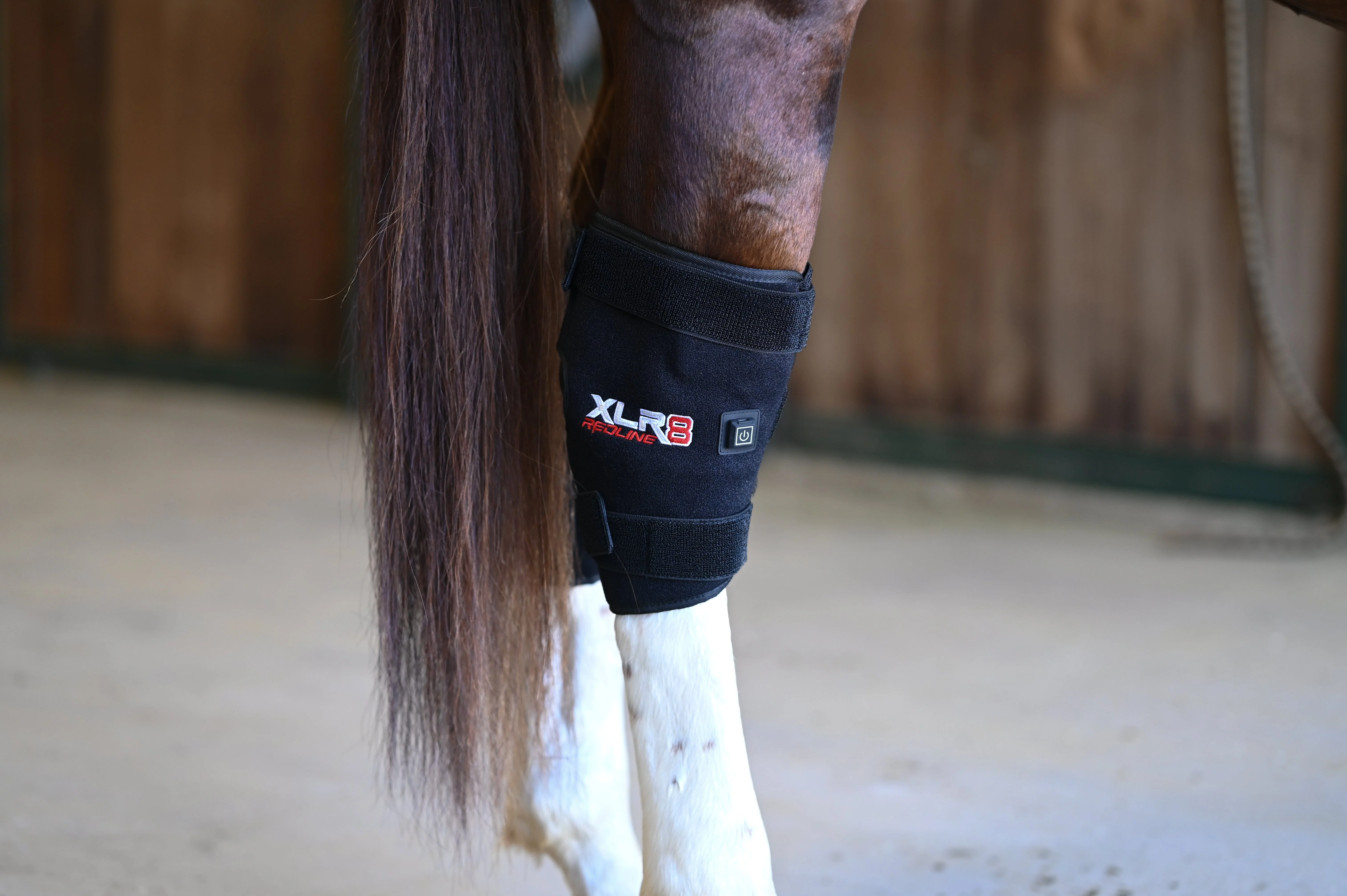 Image of XLR8 Equine Redline Hock Boot - Single