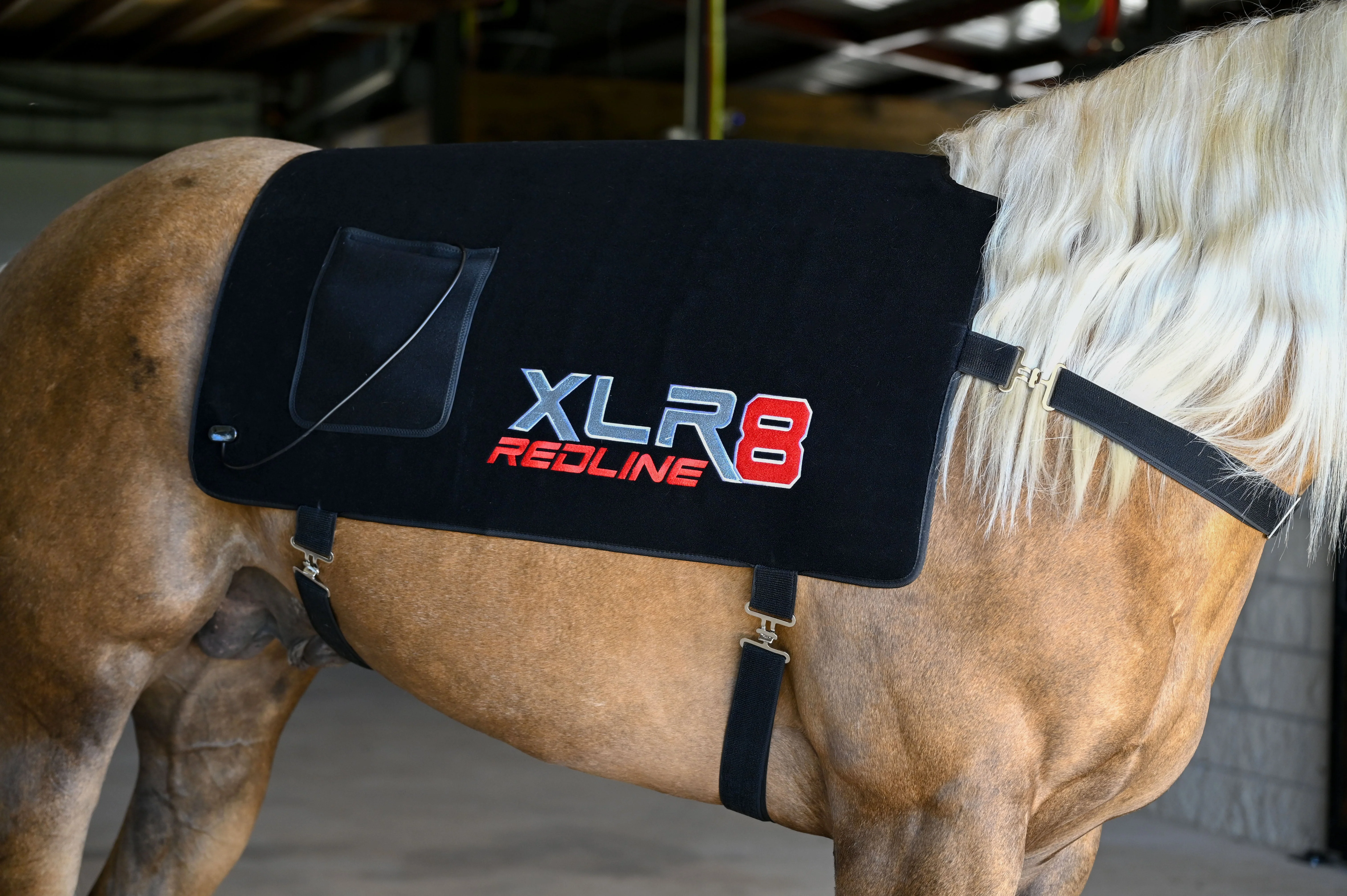 Image of XLR8 Equine Redline Back Wrap