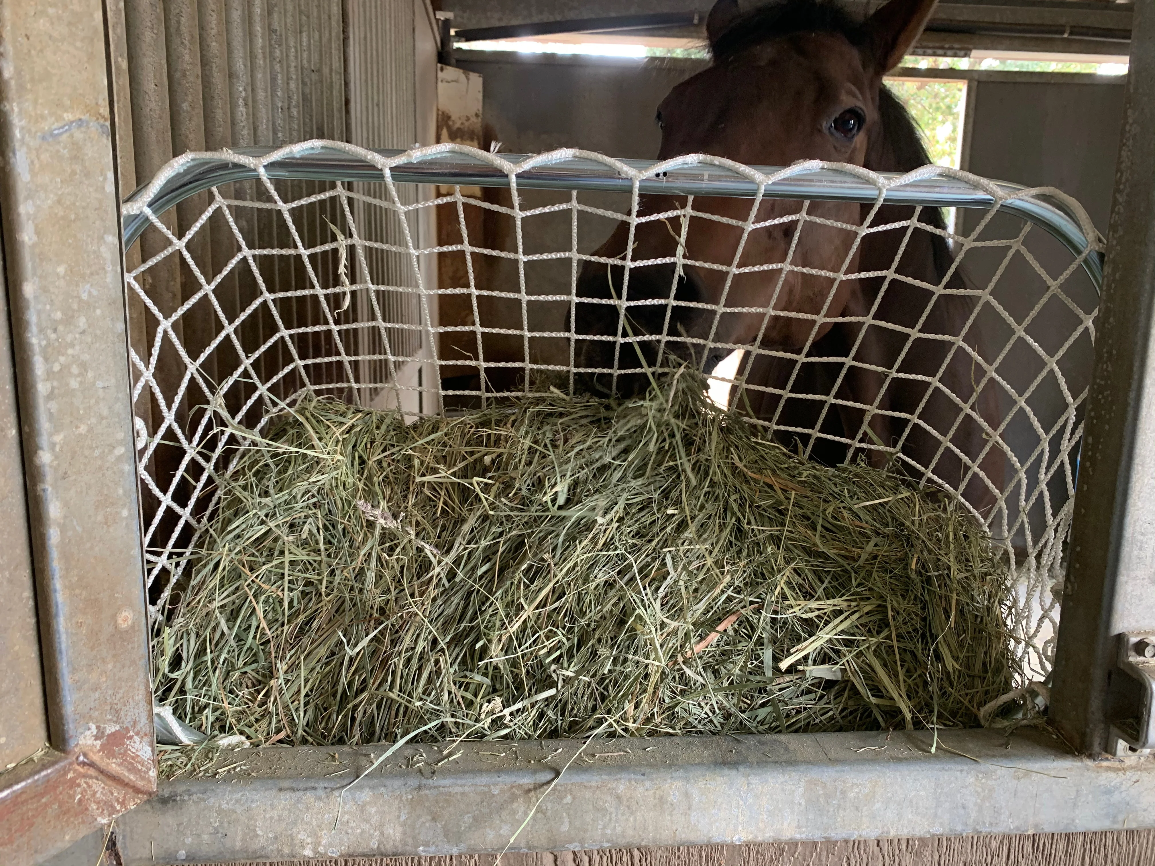 Image of Kensington Slow Feed - Freedom Feeder Frame