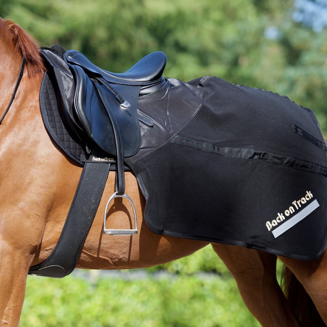 Image of Back on Track Fleece Exercise Quarter Sheet