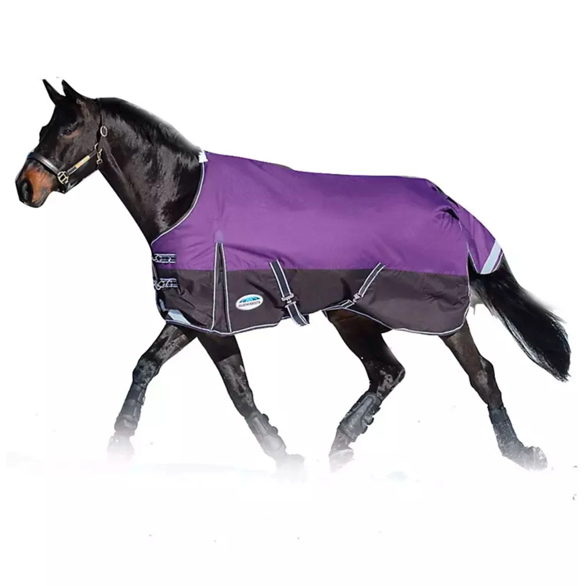Image of WeatherBeeta Comfitec Plus Dynamic Standard Neck Lite Turnout Sheet