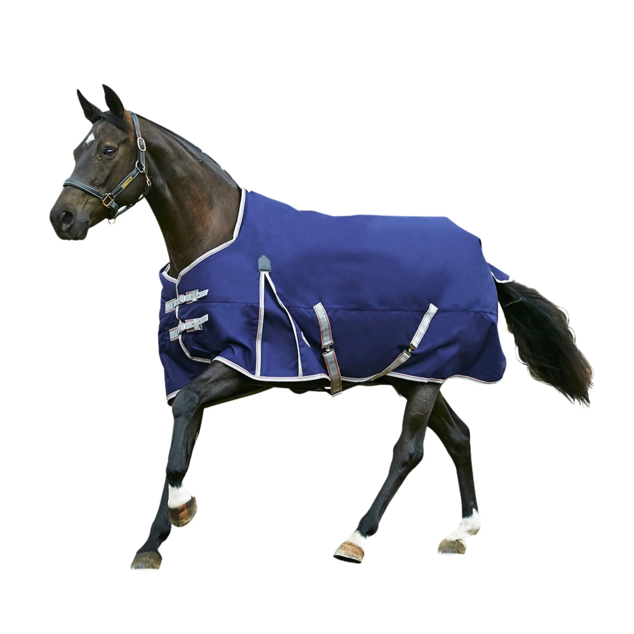 Image of WeatherBeeta Comfitec Essential Standard Neck Medium Turnout Blanket