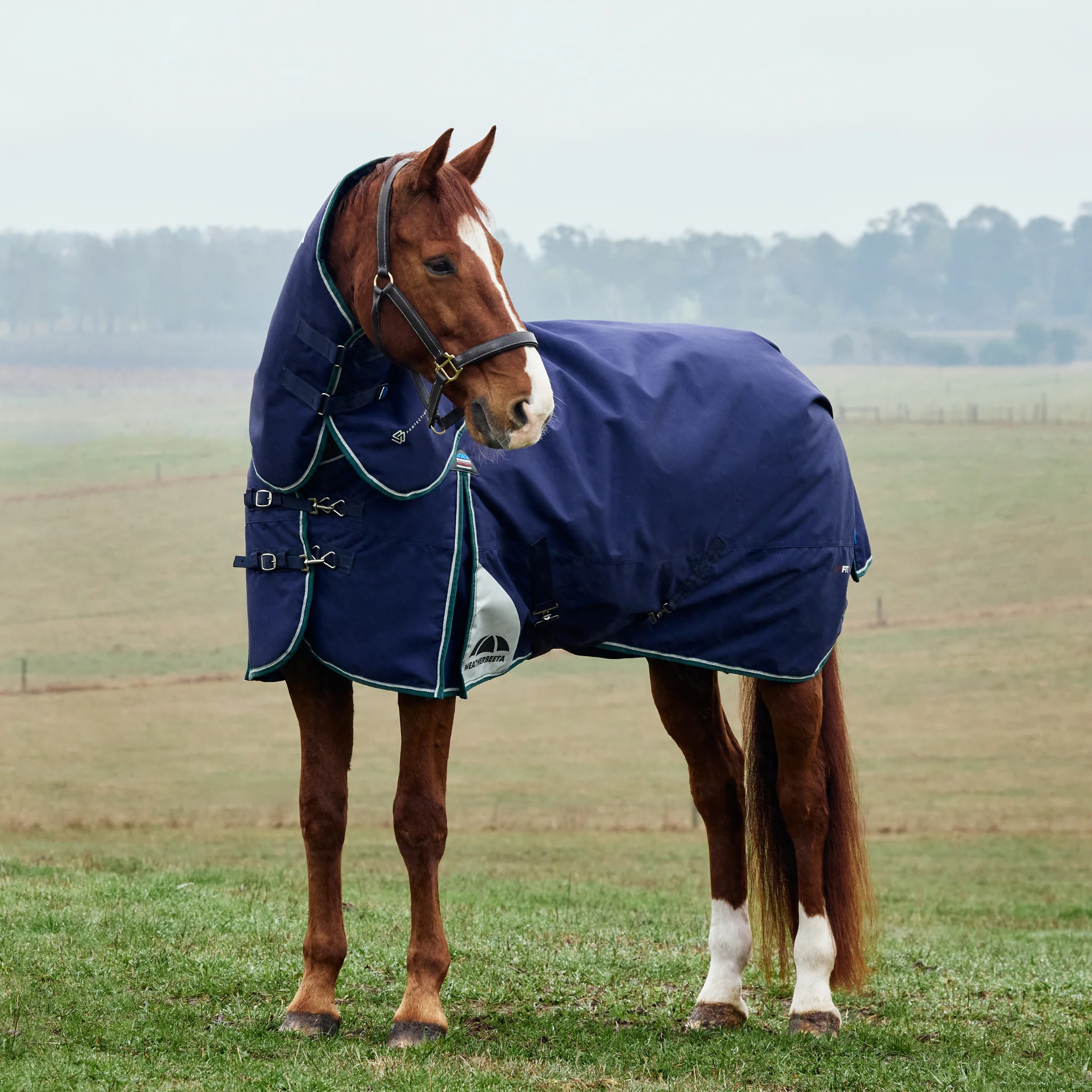 Image of WeatherBeeta ComFiTec Plus Dynamic Turnout Detach-A-Neck 0G