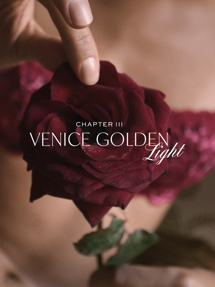 Chapter 3 Venice Golden Light
