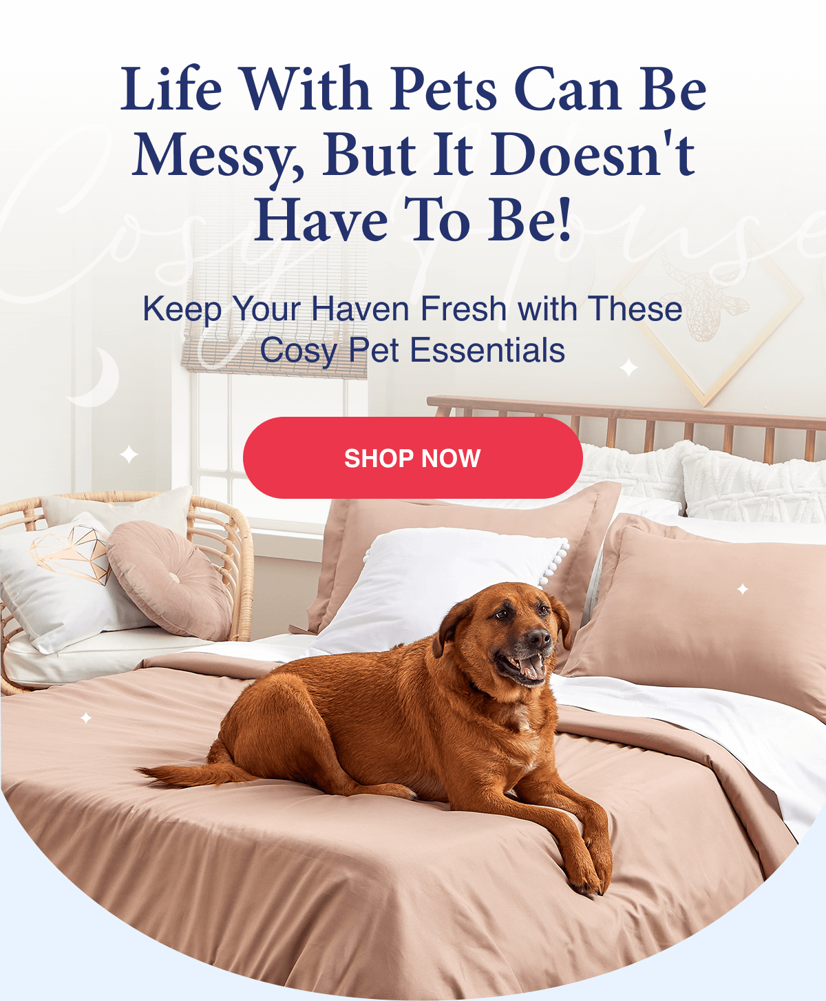 Keep Your Haven Fresh with These Cosy Pet Essentials