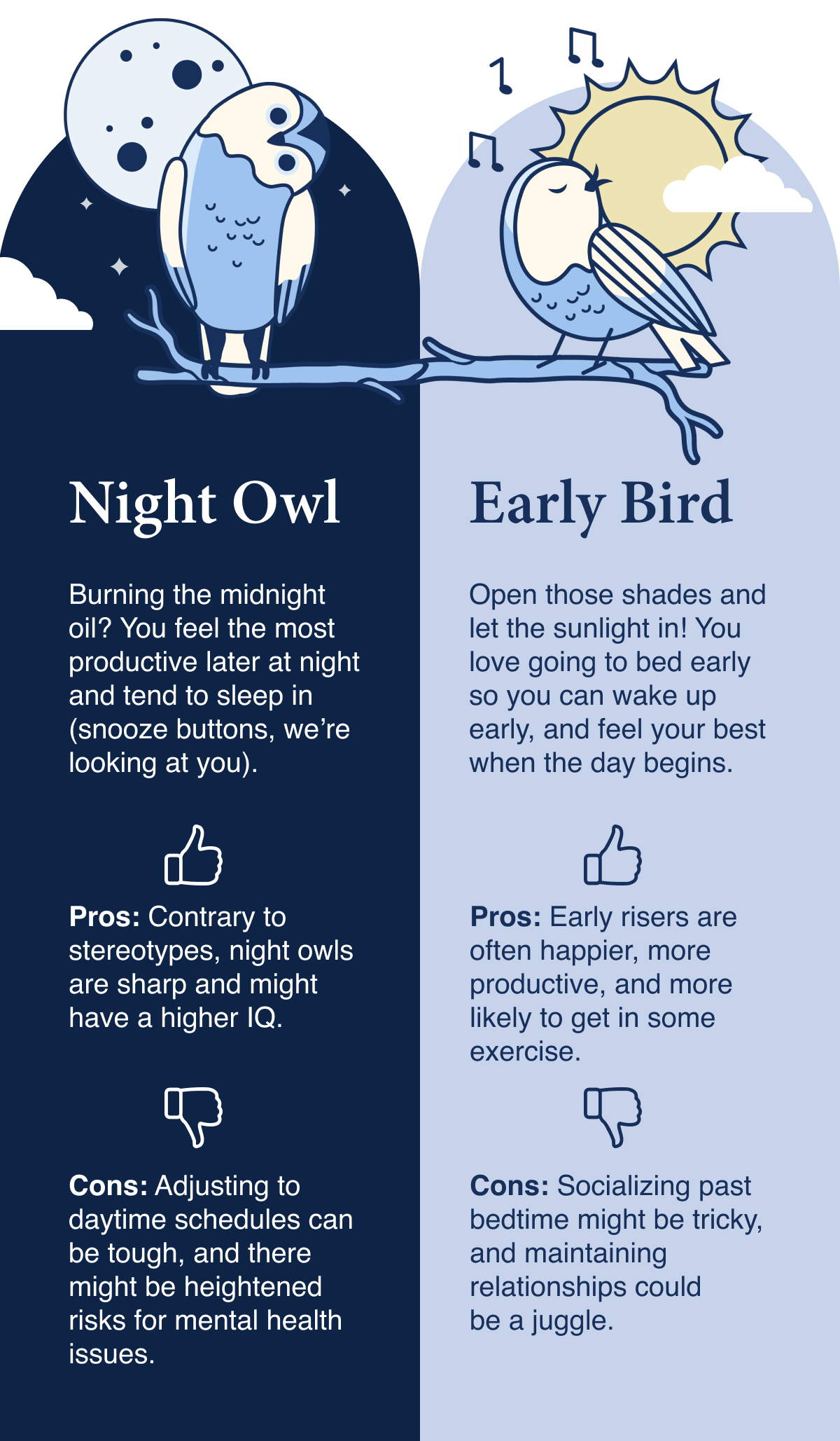 Early bird or night owl?