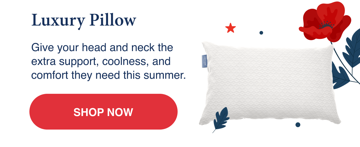Luxury Pillow