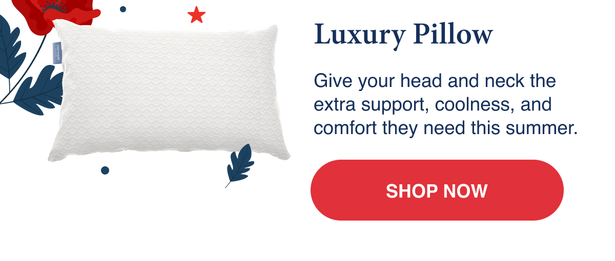 Luxury Pillow