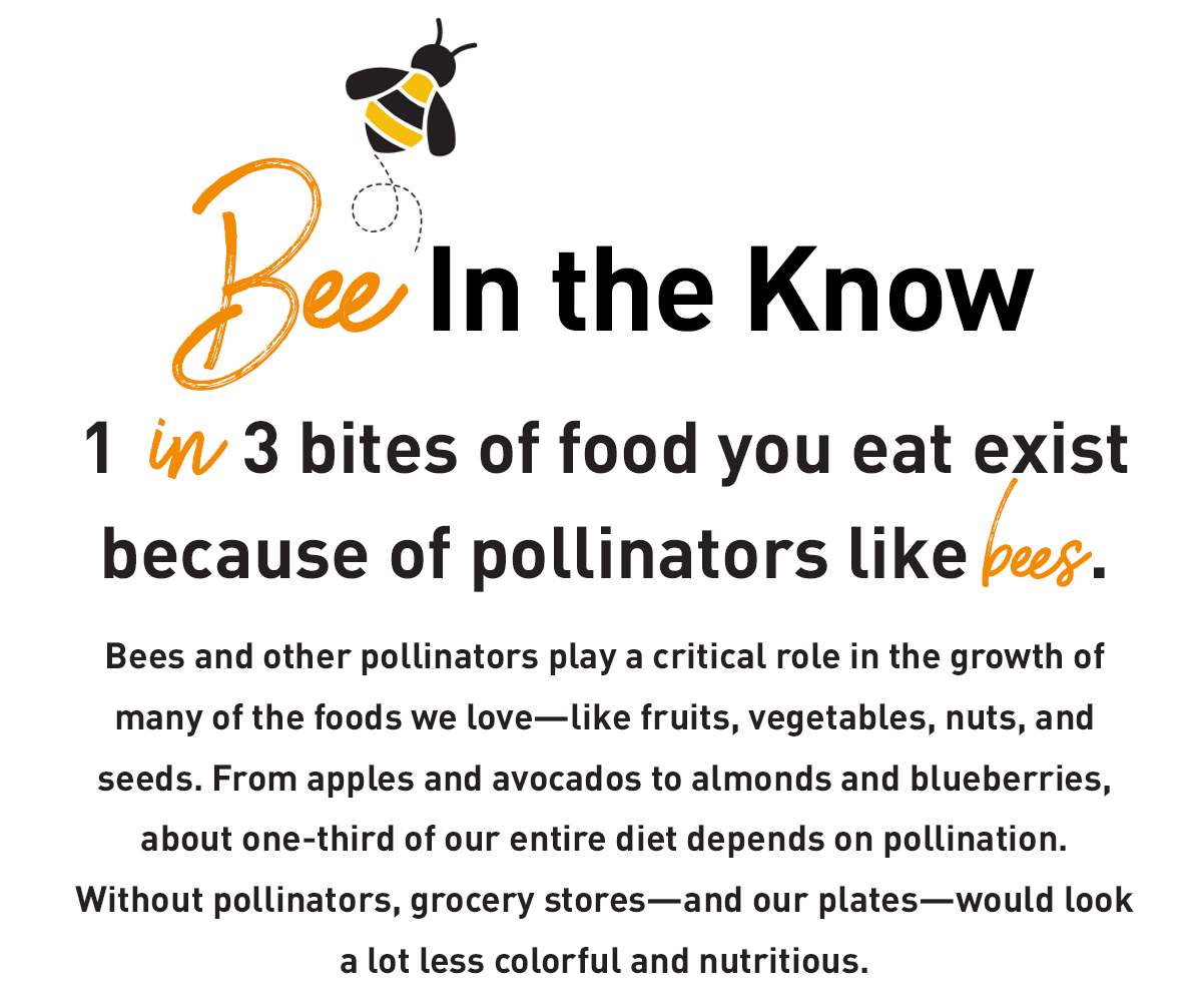 BEE in the know! 1 in 3 bites of food you eat exist because of pollinators like bees. 