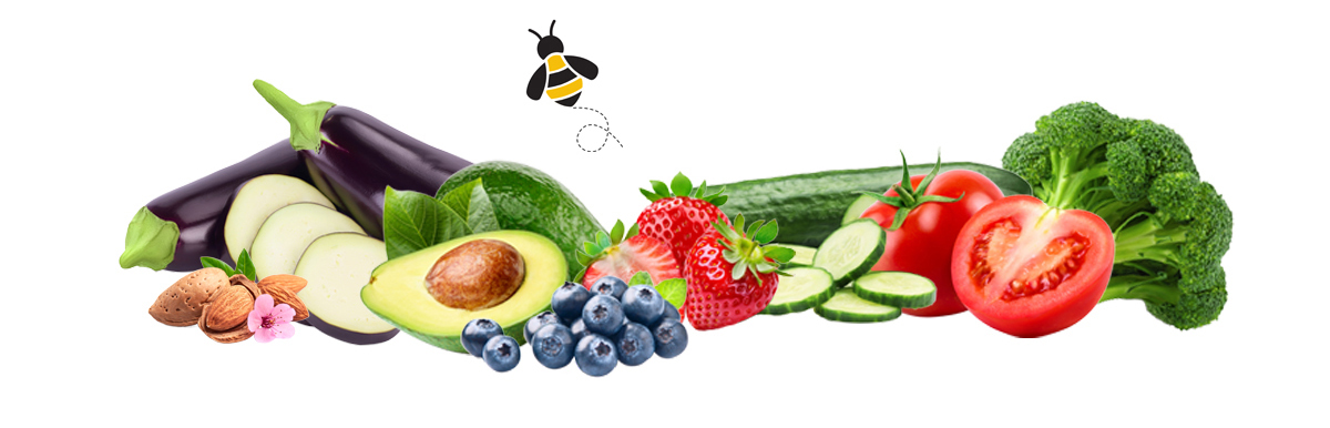 Fruits and vegetables  