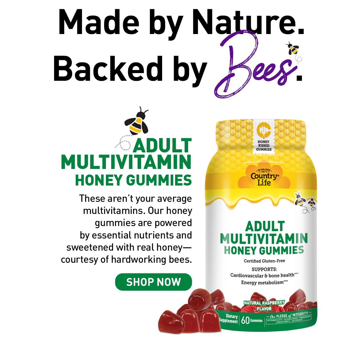 Shop Adult Multivitamin Honey Gummies Now