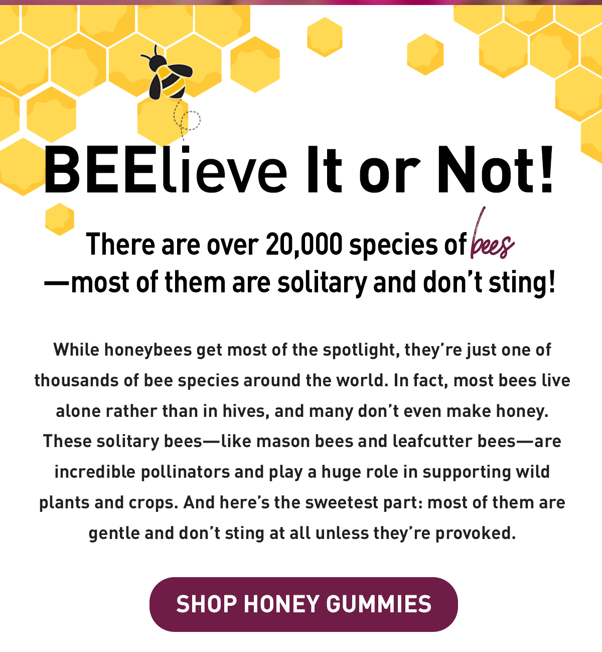 BEElieve it or not! there are over 20,000 species of bees! 