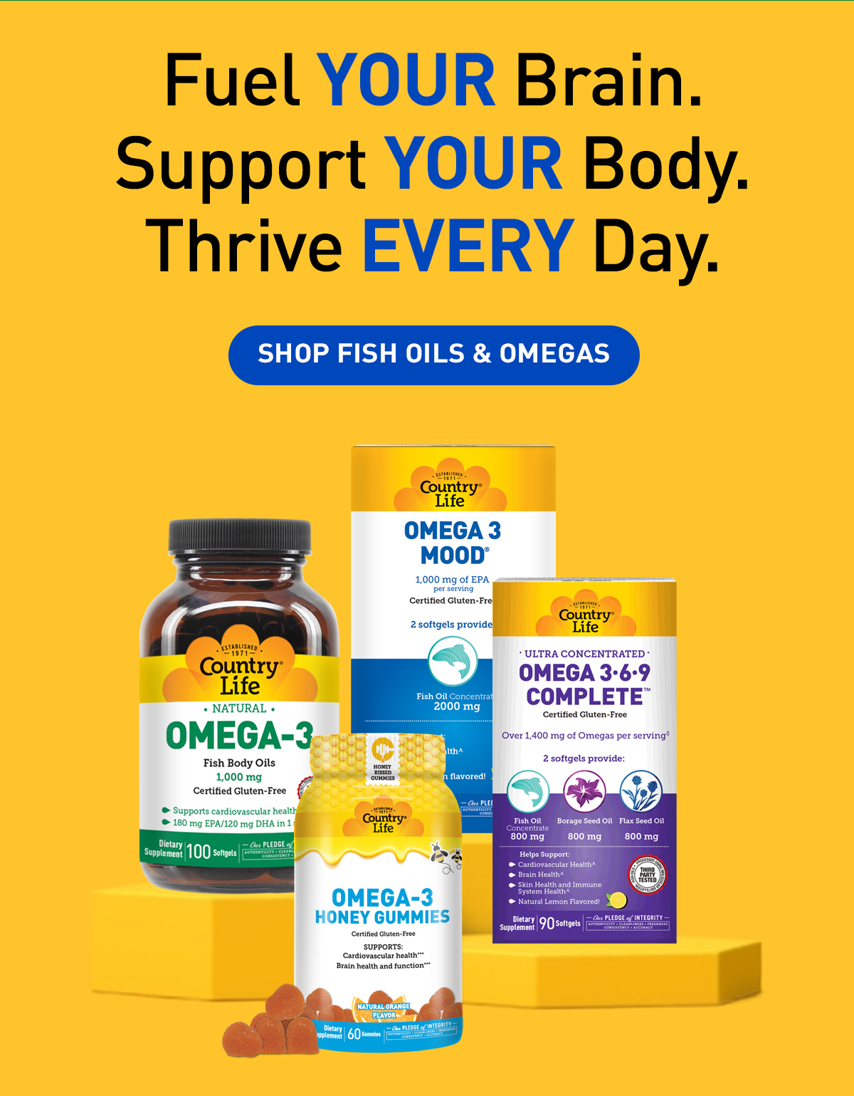Fuel your brain, support your body, thrive every day! 