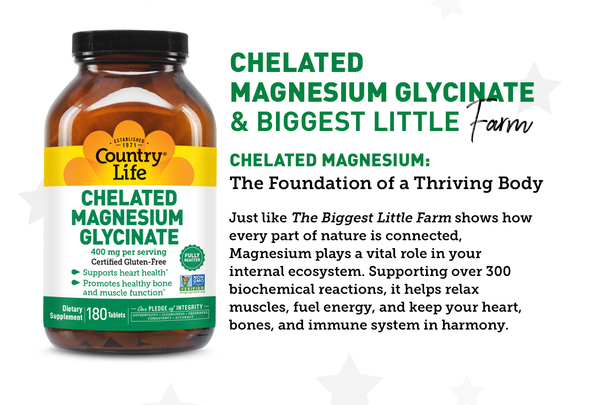 shop chelated magnesium glycinate