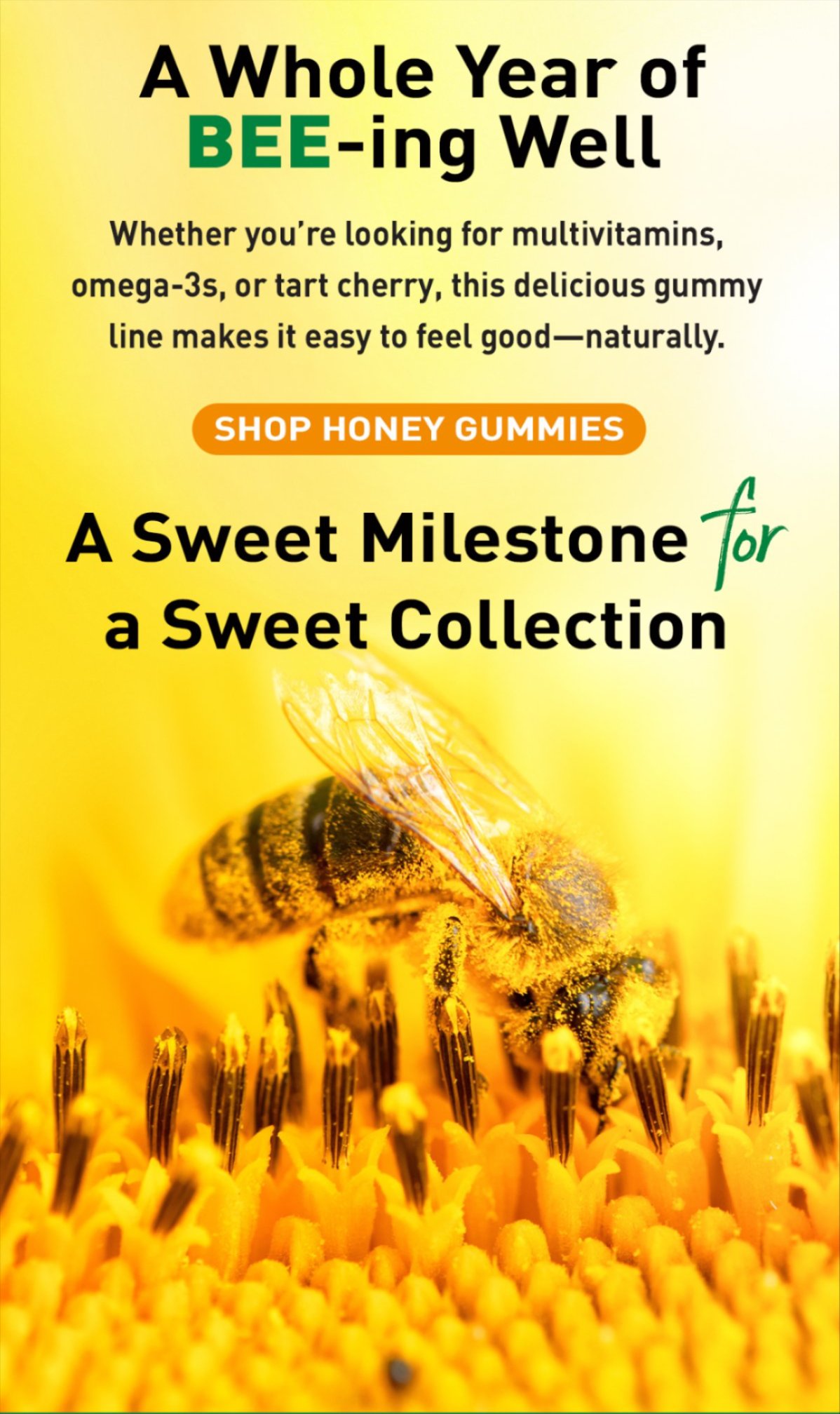 SHOP HONEY GUMMIES