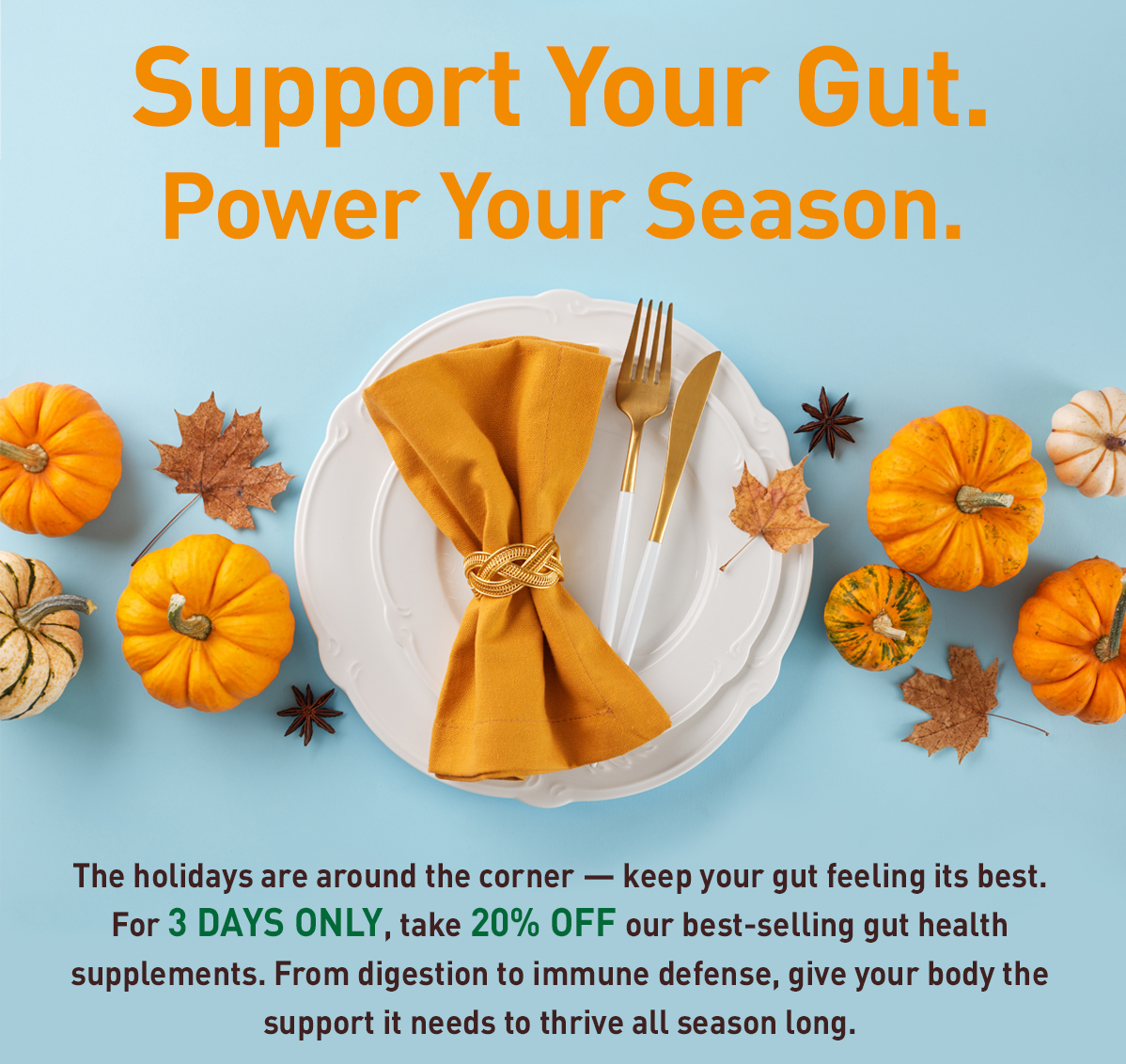 20% OFF GUT SUPPORT FOR 3 DAYS ONLY