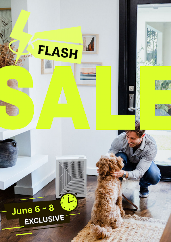 Flash sale: limited time offer