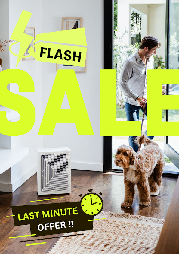Flash sale: limited time offer