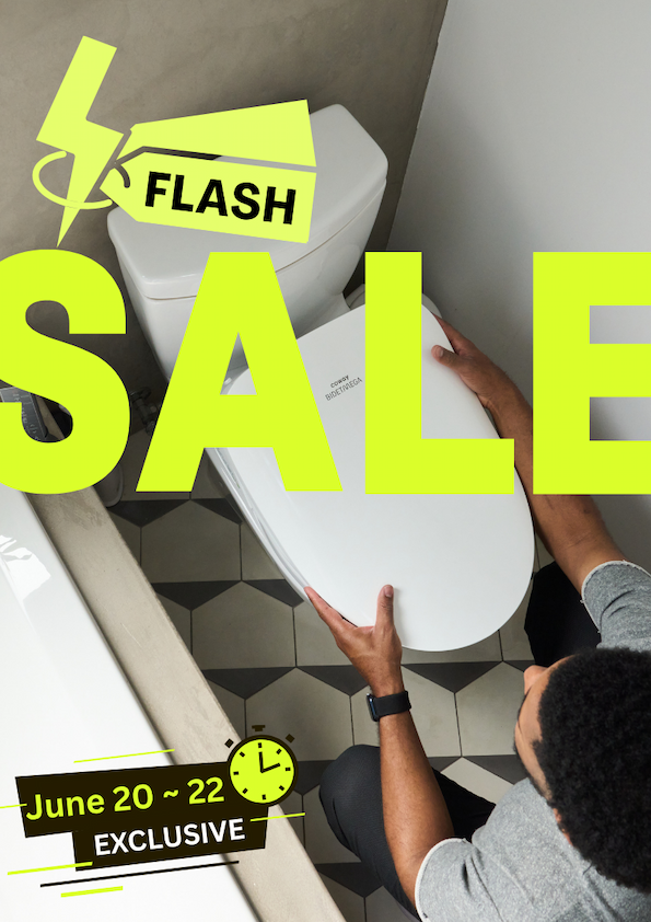 Flash sale: limited time offer