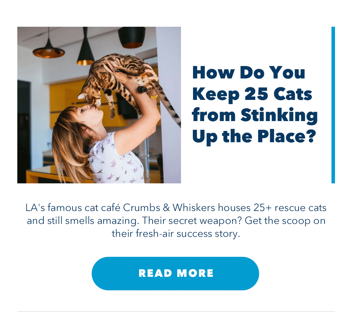 How Do You Keep 25 Cats from Stinking Up the Place? LA's famous cat cafe Crumbs & Whiskers houses 25+ rescue cats and still smells amazing. Their secret weapon? Get the scoop on their fresh-air success story.