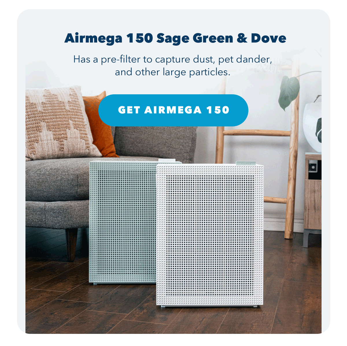 Airmega 150 Sage Green & Dove | Has a pre-filter to capture dust, pet dander, and other large particles.