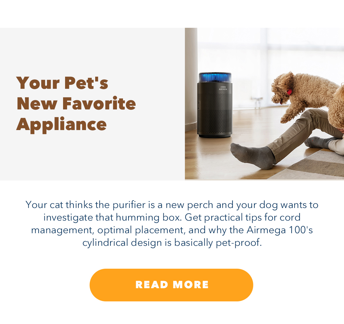 Your Pet's New Favorite Appliance 