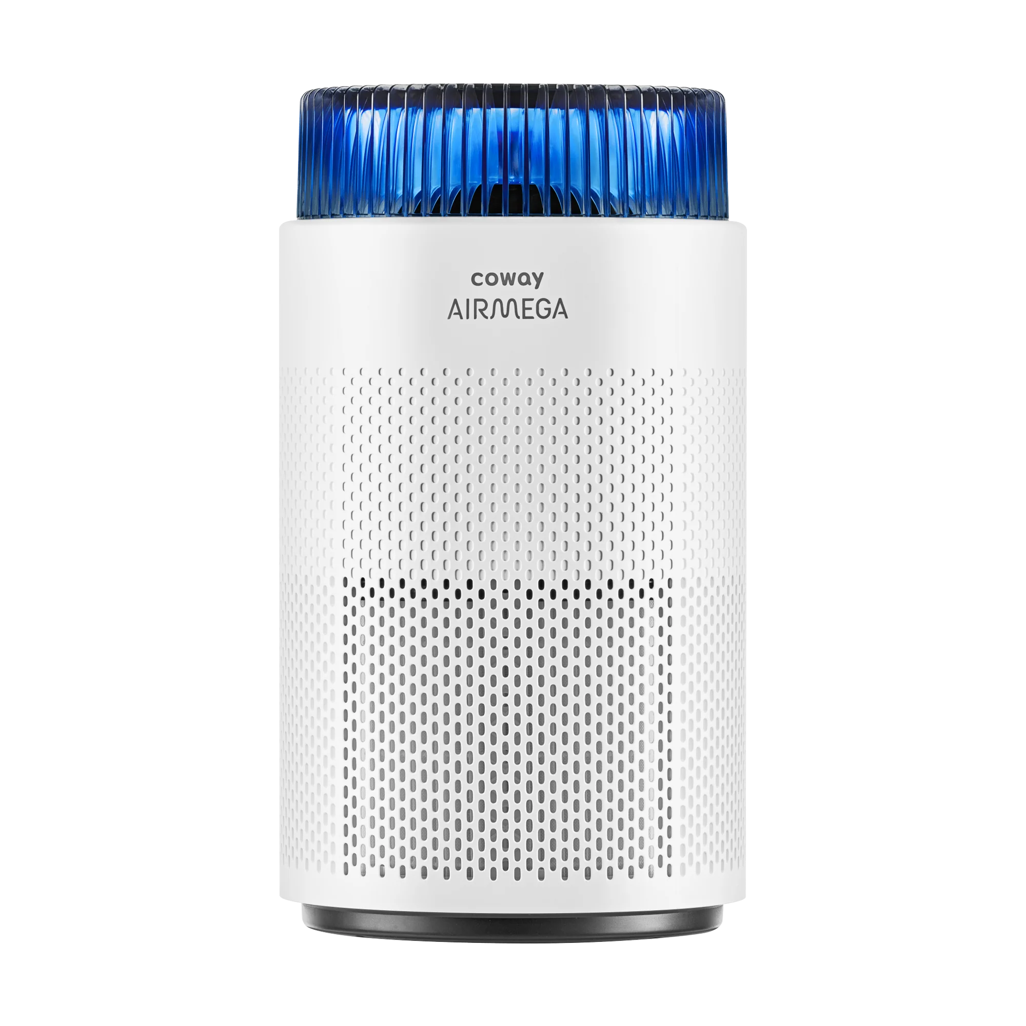 Image of Airmega 100