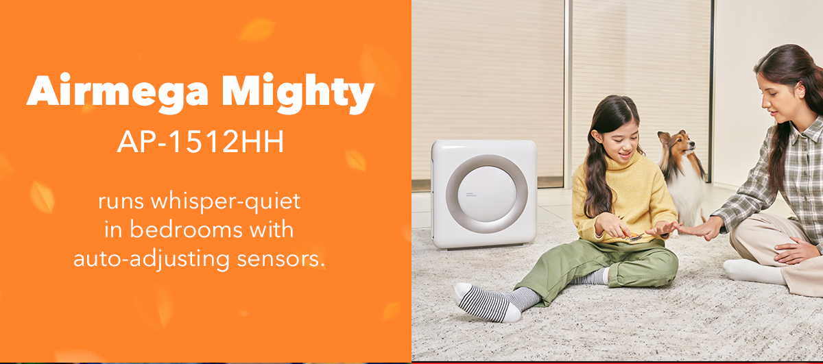 Airmega Mighty 